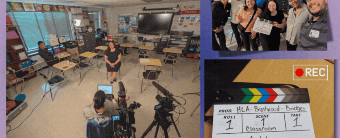 Newsletter Designs (2)