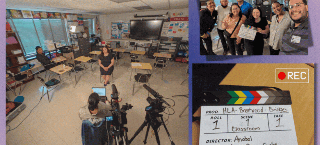 Newsletter Designs (2)